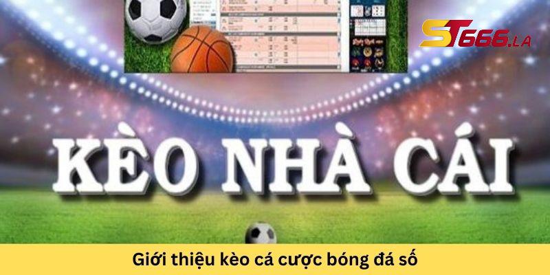 ST666_Cách Soi Kèo Cá Cược Bóng Đá Số Chuẩn Nhất Hôm Nay