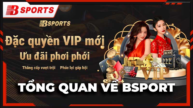 Bsport - Trang Cá Cược Thể Thao Online Đẳng Cấp Nhất